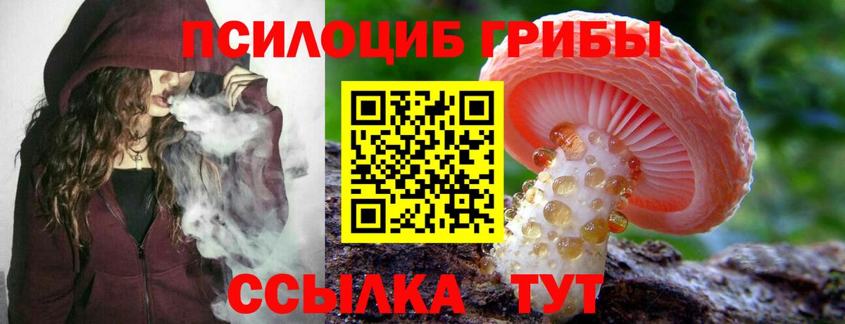 Электросталь  Галлюциногенные грибы Psilocybine cubensis  Вход с VPN  Псилоцибиновые грибы GOLDEN TEACHER 
